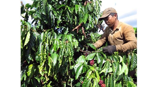 THỦY LỢI CHO VÙNG TÂY NGUYÊN